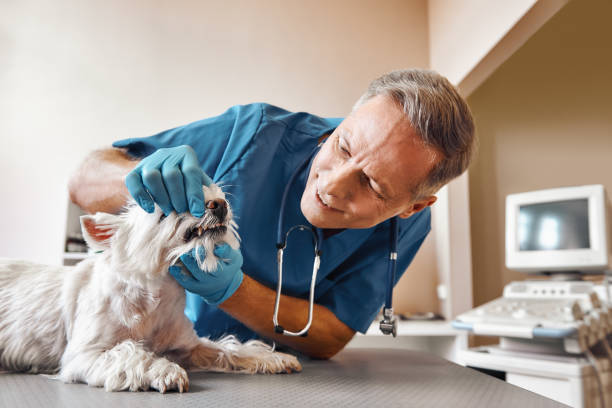 Best Emergency Dental Extractions in Keene, TX