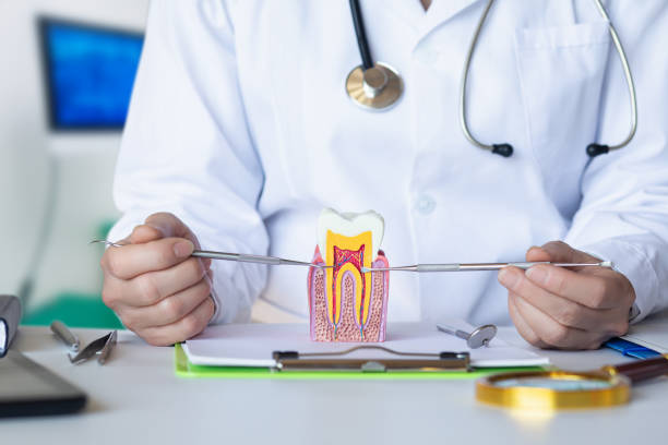 Best Emergency Dentist for Lost Fillings or Crowns in Keene, TX